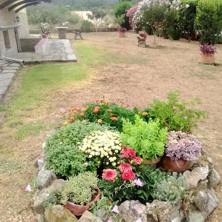 Villa Near *