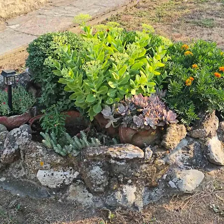 Near Villa Ierissos