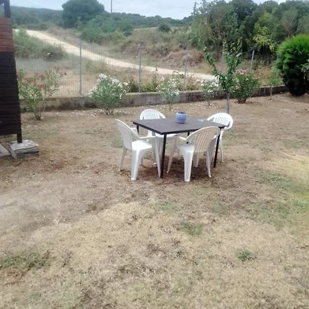 Near לריסוס